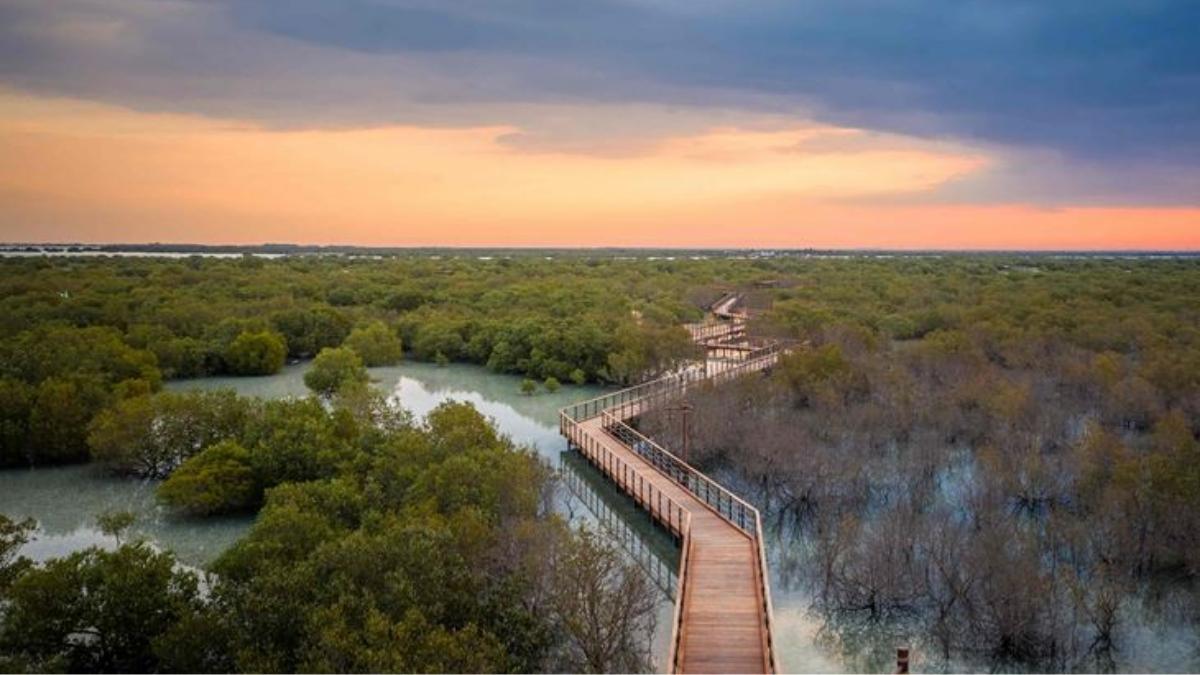 Abu Dhabi To Add New Nature Reserves, Expanding Protected Land To 20%