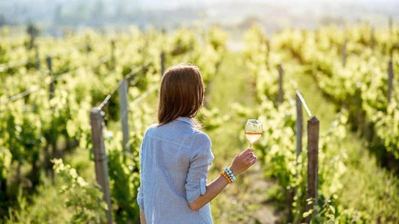 What Is Wine Tourism & How Is It Different From Wine Tasting? 7 Destinations Around The World To Experience It What Is Wine Tourism & How Is It Different From Wine Tasting? 7 Destinations Around The World To Experience It