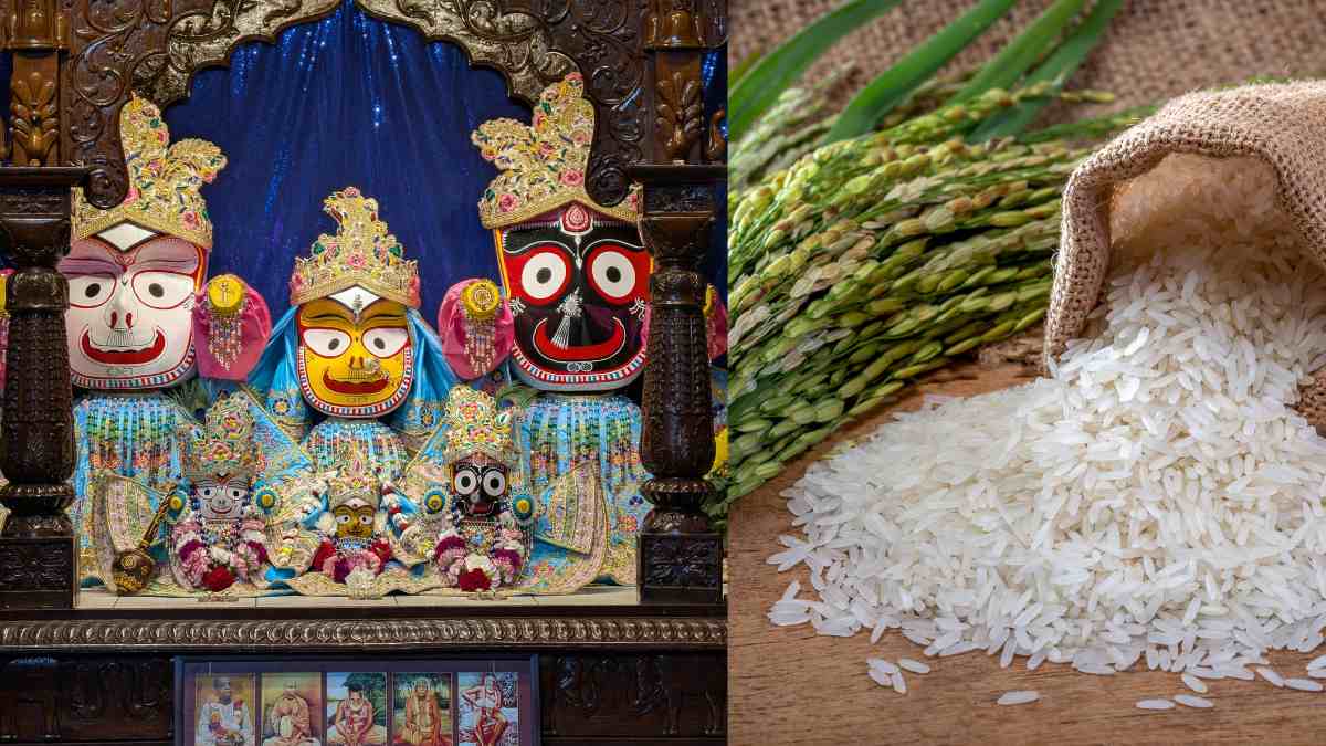 Odisha: Puri Jagannath Temple To Use Organic Rice For Kotha Bhog & Mahaprasad From Rath Yatra 2026 