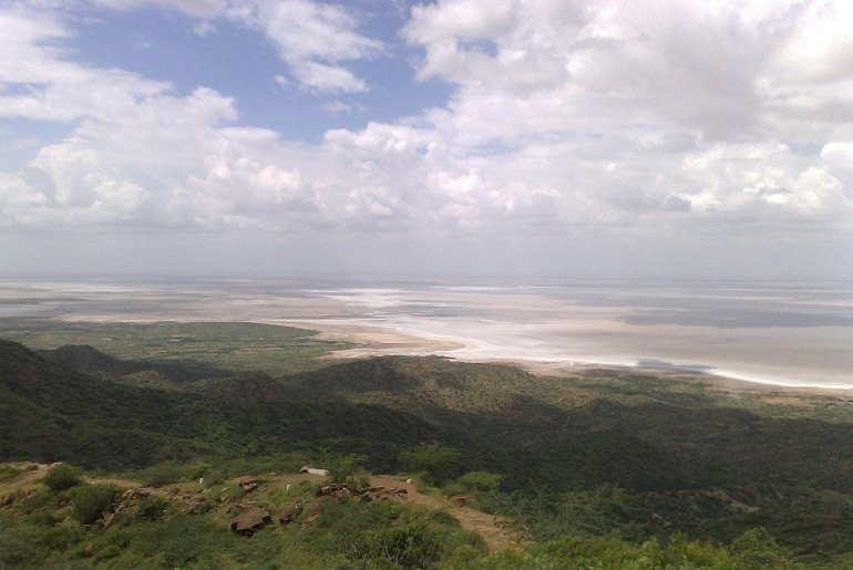 migratory birds wildlife parks