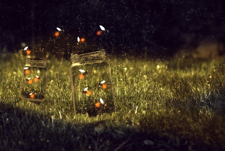 places to see fireflies in India