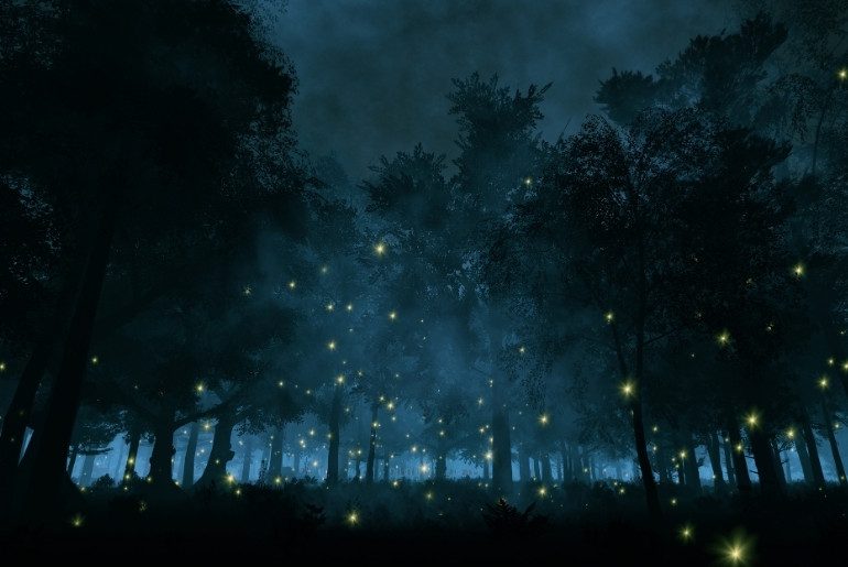 places to see fireflies in India