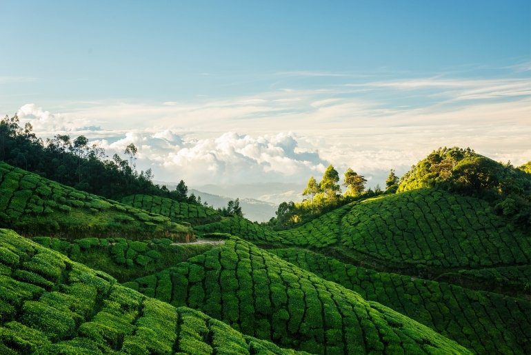 top travel destinations in India in November