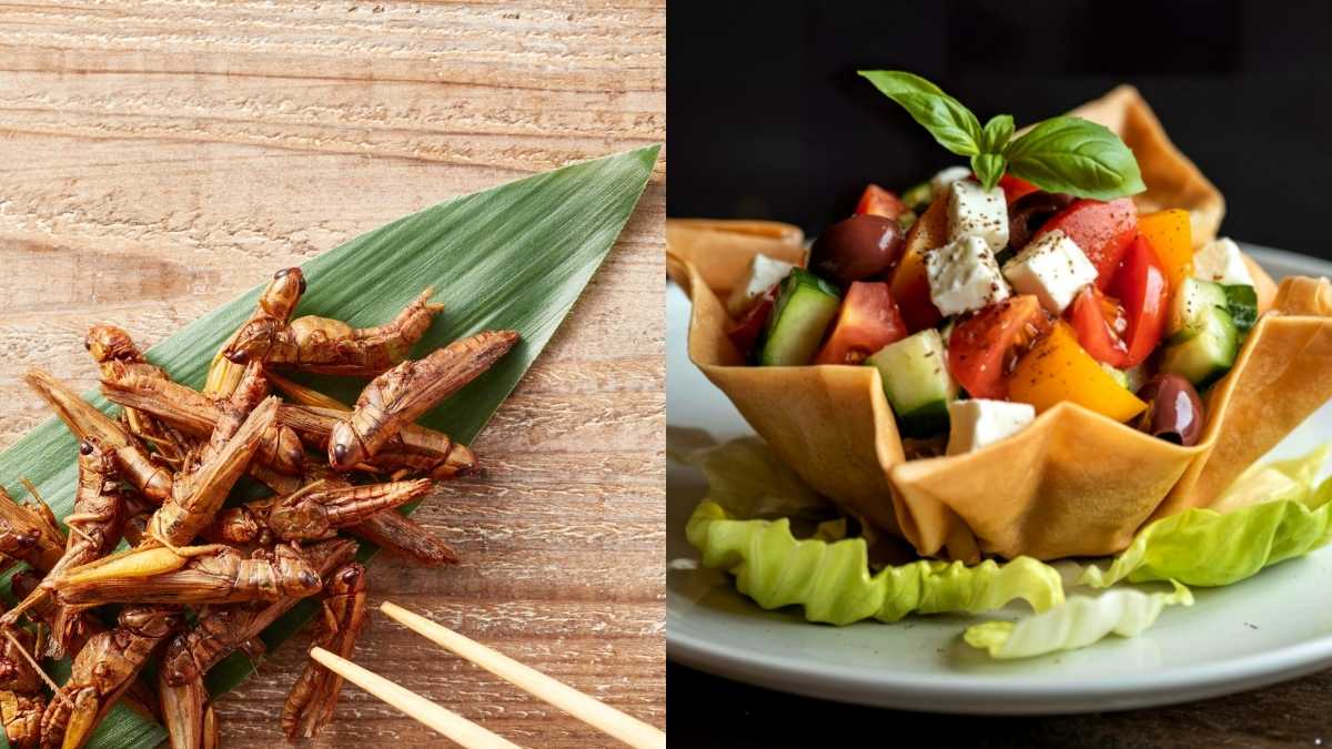 From Insect Protein To Edible Packaging, 10 Wildest Food Trends Of 2025 That’ll Blow Your Mind & Taste Buds