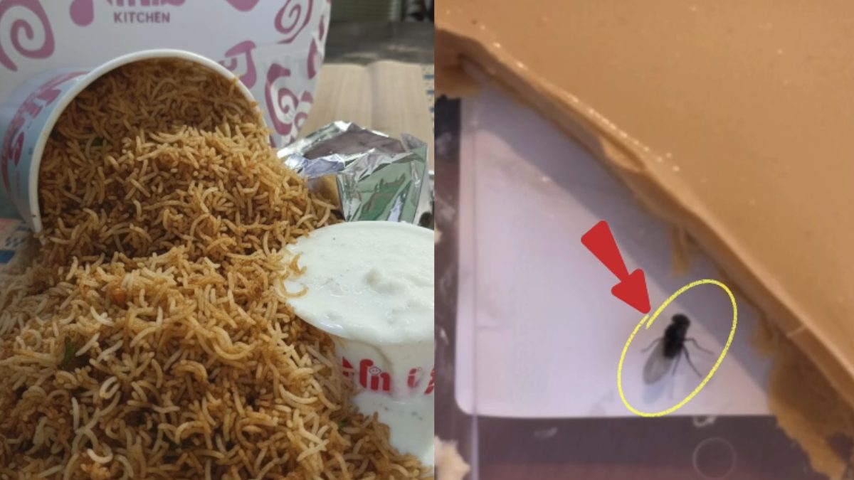 Indore Restaurant Calls Out AI For Fake Refund Claims After Spotting “Fly” In Biscoff Cake