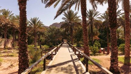 After A Year-Long Closure, AlUla’s Daimumah Reopens With New Culture, Cuisine & Community