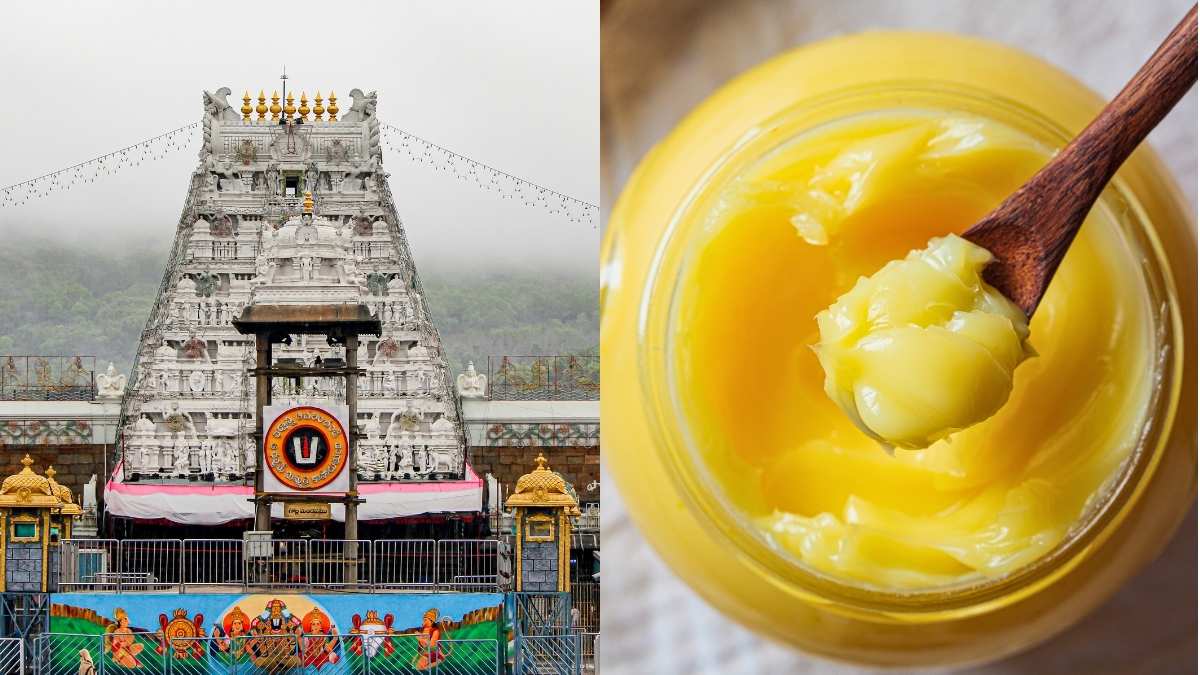 Tirupati Temple Given 68 Lakh Kg Fake Ghee Worth ₹250 Cr Over 5 Yrs, Reveals Investigation