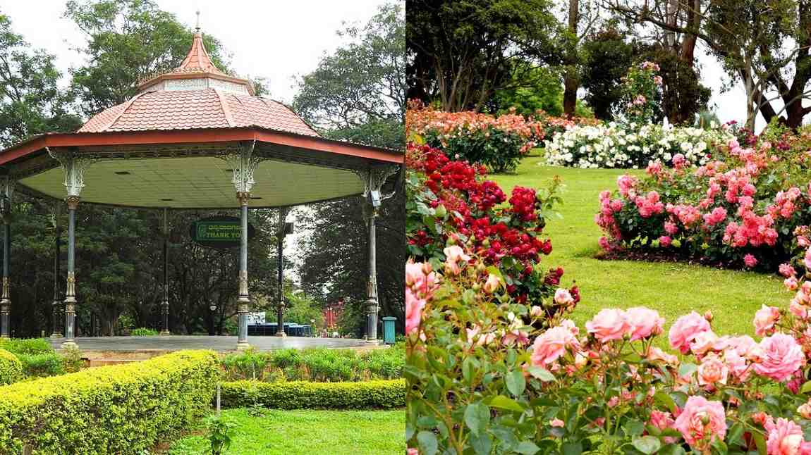 Get Ready! Cubbon Park In Bengaluru Is Set To Host A Grand 11-Day Flower Show; Deets Inside