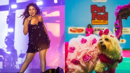 From Sunidhi Chauhan Live To Pet Fed, 13 Best Events In Delhi To Attend This December