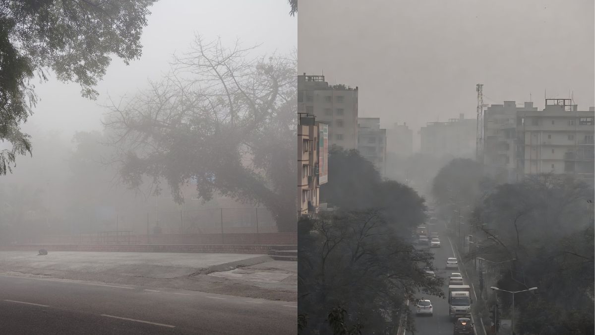 IMD Issues Cold Wave Alert For Delhi & Other North Indian States; Rain Expected In South India