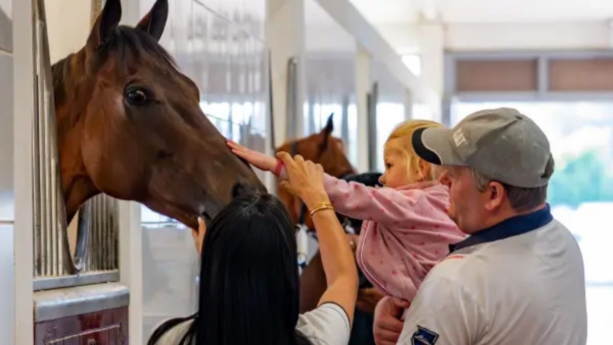 Just AED 280, Enjoy A Premium Breakfast While Horses Galloping By In Dubai