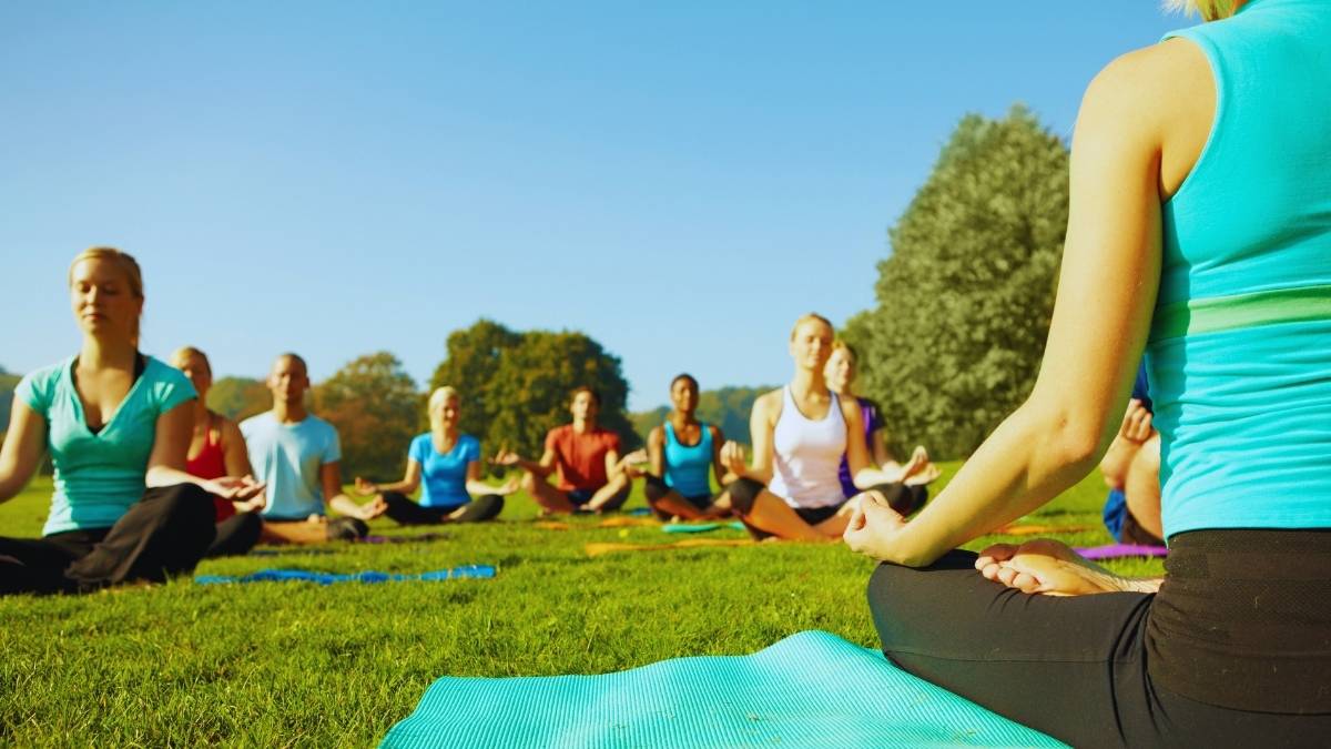 Come February 2026, Dubai To Host A Bee-Inspired Wellness Festival At Madinat Jumeirah