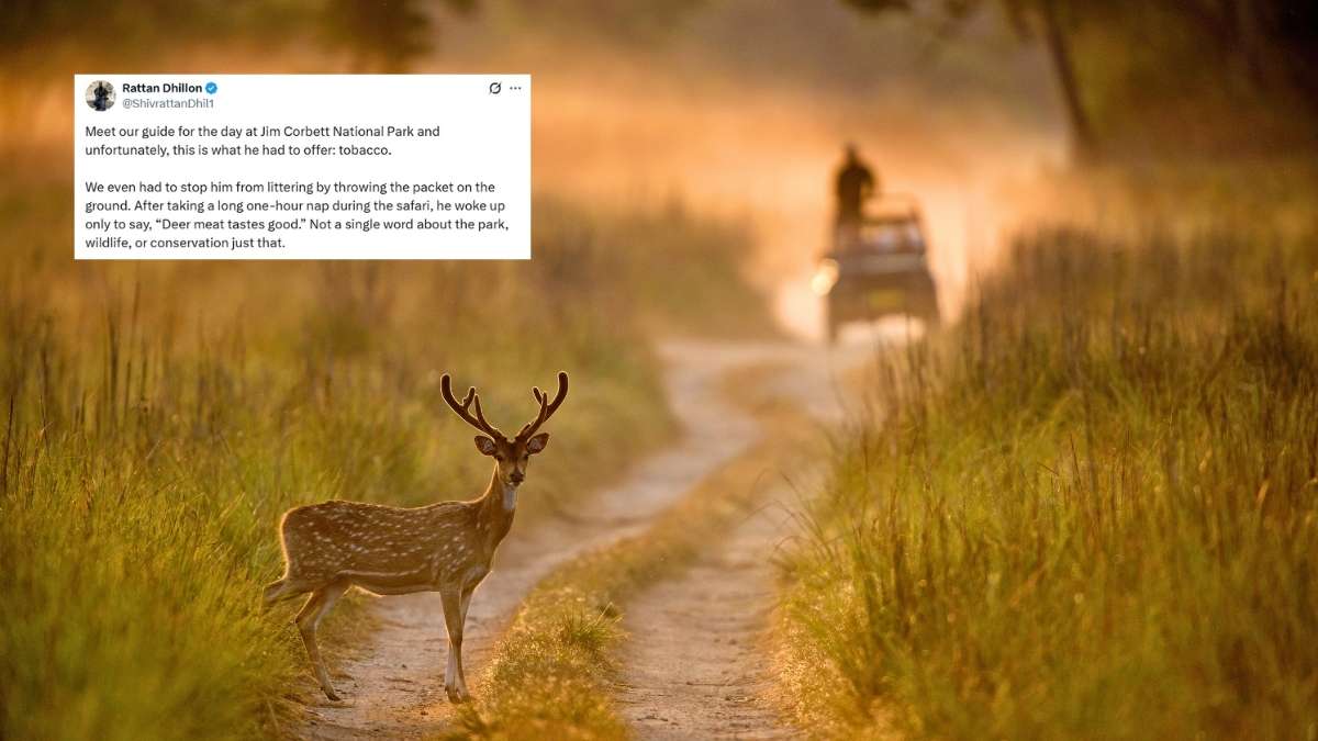 “Deer Meat Tastes Good,” Says Jim Corbett Guide During Safari; X User Alleges He Offered Tobacco To Tourists