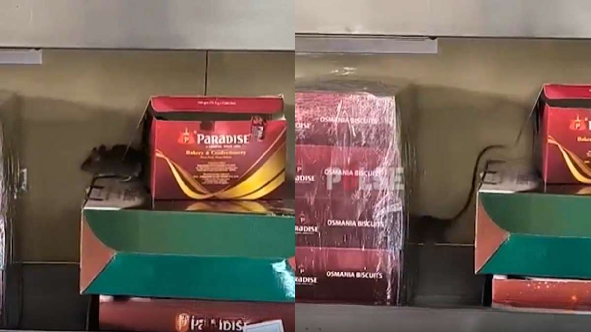 Customer Spots Rat In Hyderabad’s Paradise Biryani; Internet Cracks Ratatouille Jokes