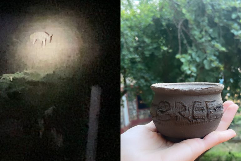 Ranthambore National Park Trip