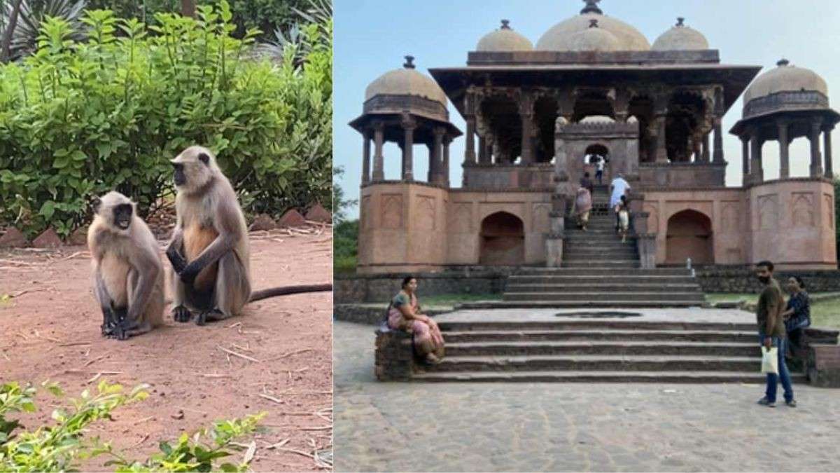 I Travelled To Ranthambore National Park But Couldn’t Spot Tigers. Here’s What Made My Trip Worth It!