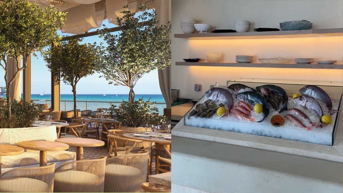 Visit Son Of A Fish In Dubai For Harbour Views And Delish Seafood!