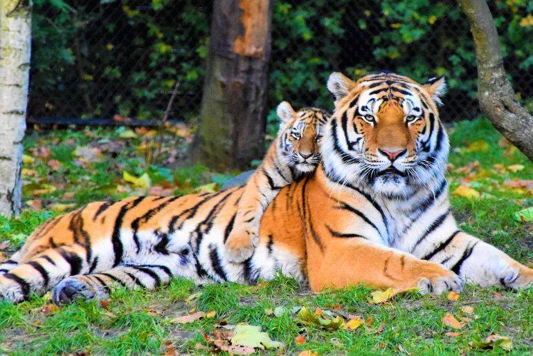 Reasons to visit Tirunelveli