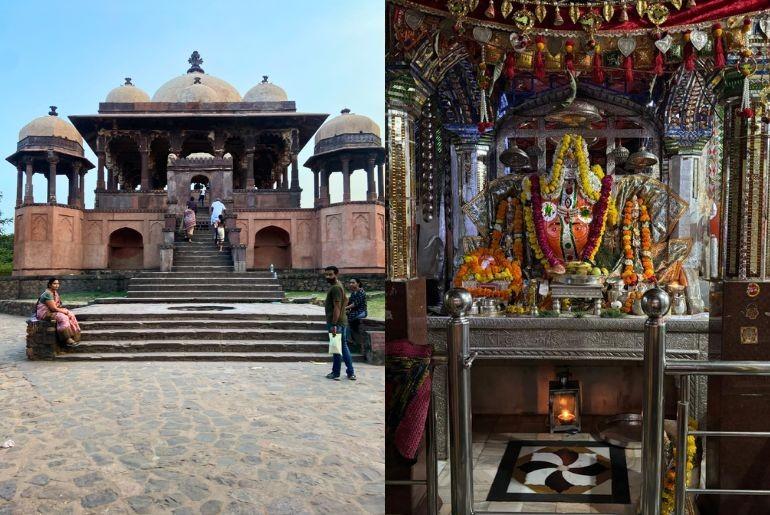 Ranthambore park trip