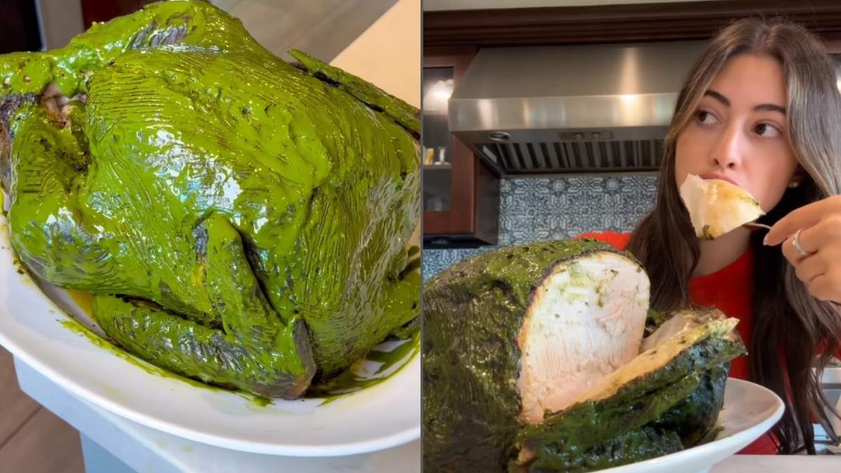 Woman Makes Matcha Turkey For Thanksgiving; Netizens Instantly Compare It To Shrek