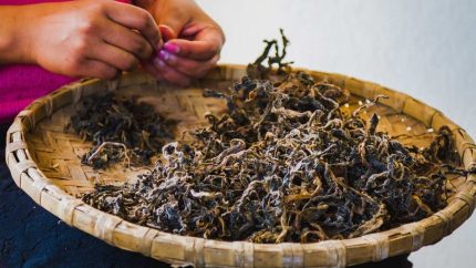 What Is Gundruk, A Vegetarian, Fermented Himalayan Delicacy With Numerous Health Benefits?