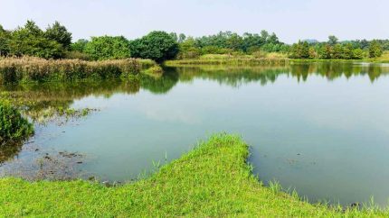 Mangaluru’s 4 Iconic Lakes Set for Major Revamp Under ₹155-Crore Project
