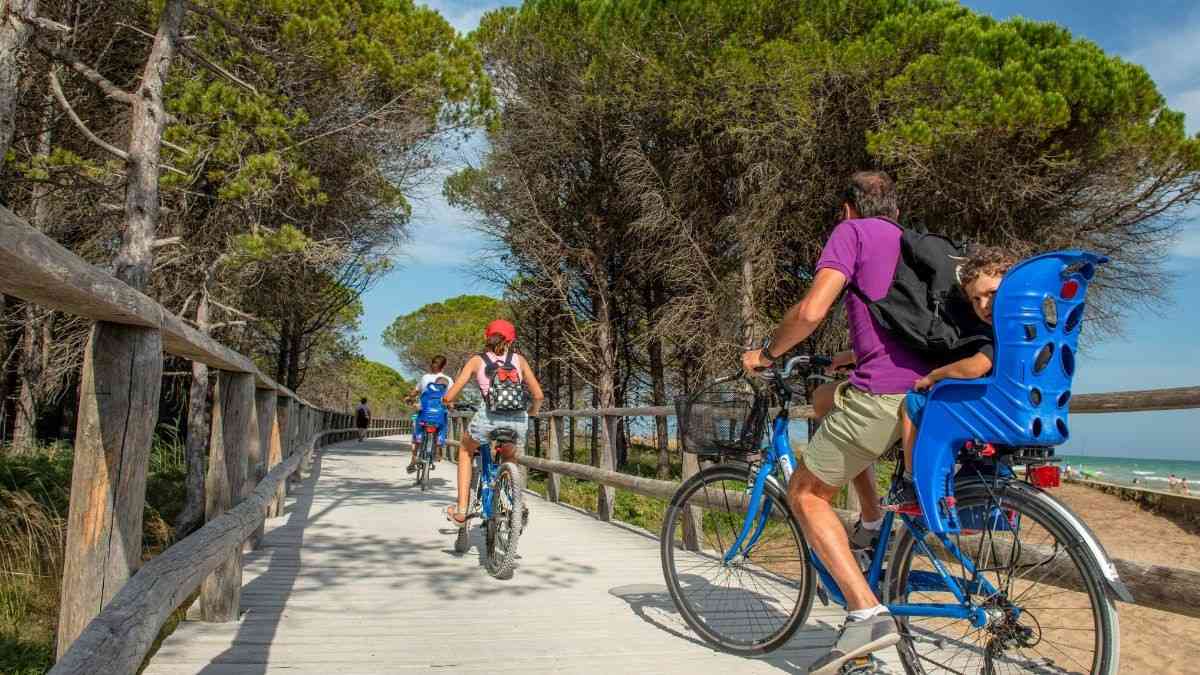 What Is Delhi’s Yamuna Cycle Project That Is All Set To Begin In Early 2026? Details Inside