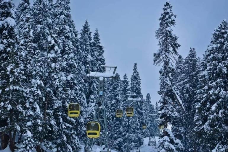 Snow Adventure In Gulmarg