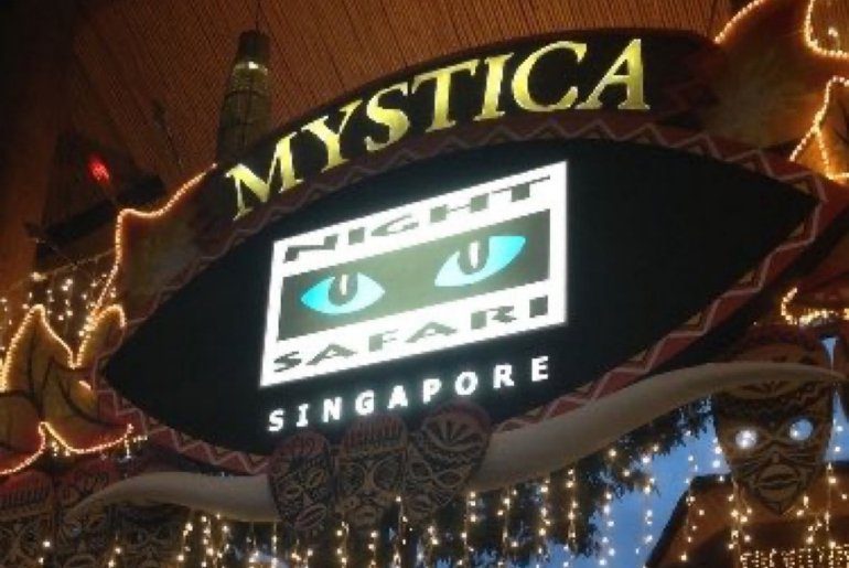 Night safari in Singapore