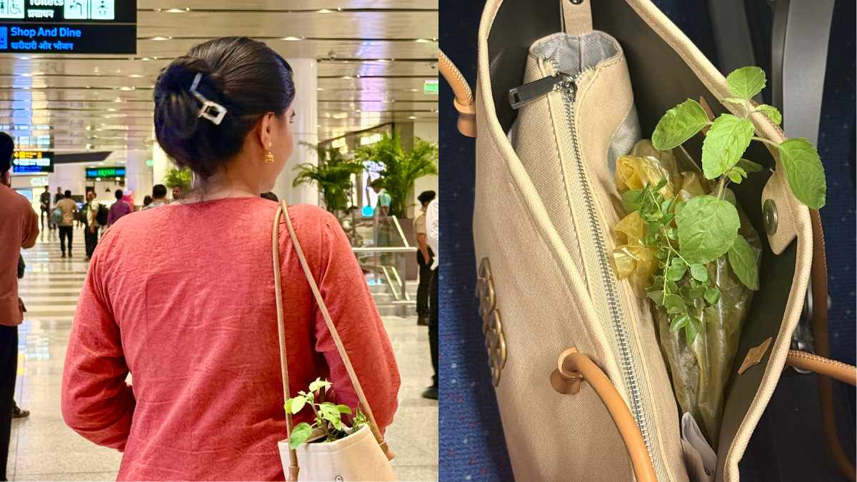 Woman’s Tulsi Plant Receives “VIP Treatment” At Indian Airport Thanks To “Spiritual Staff”