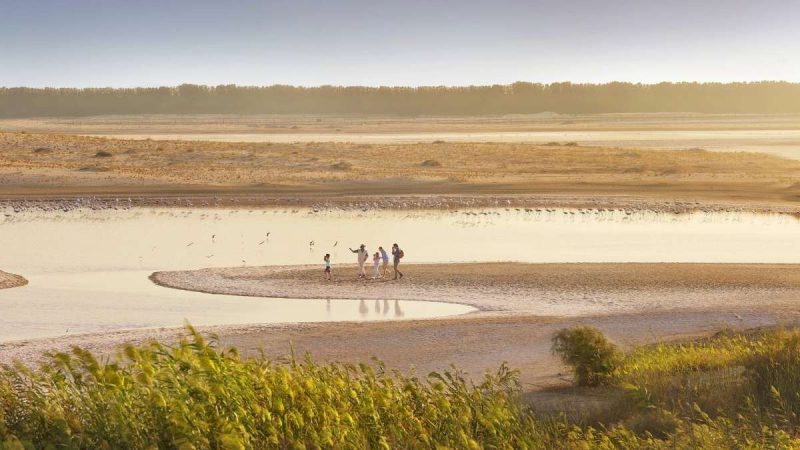 Popular Camping Spot, Al Wathba Lake In Abu Dhabi To Be Shut Briefly; Here’s Why!