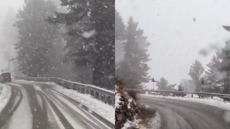 Kashmir Turns White As Chillai Kalan Begins; More Snow Expected In Coming Days