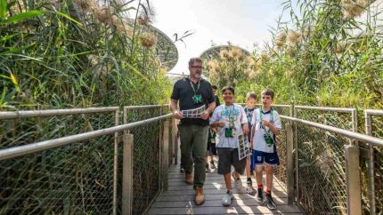 Expo City Dubai Launches Nature-Focused Winter Camp At Terra With Art, Science And Fun