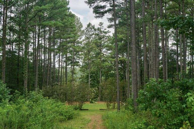 Stranger Things Shooting Locations 