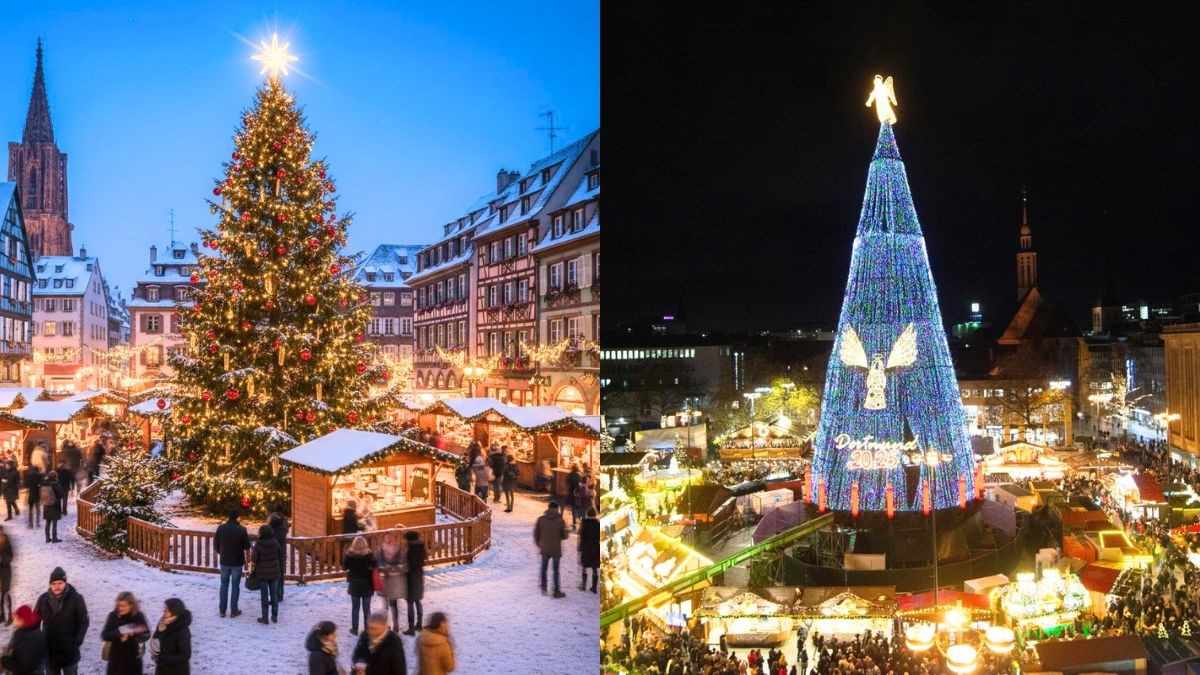 From Strasbourg To Dortmund: 10 Most Iconic Christmas Trees Across The World
