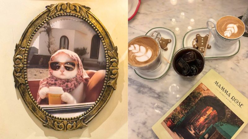CT Review: I Spent An Evening In Paris Without Leaving Noida At Mamma Rose, Where Cats Meet Coffee