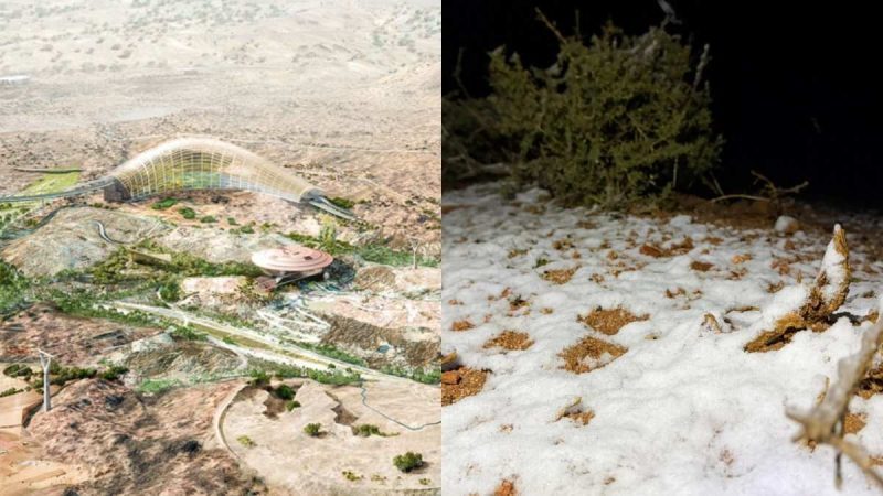 CT Quickies: From Oman Botanic Garden Handover To Snowfall In Saudi Arabia, 10 Middle East Updates