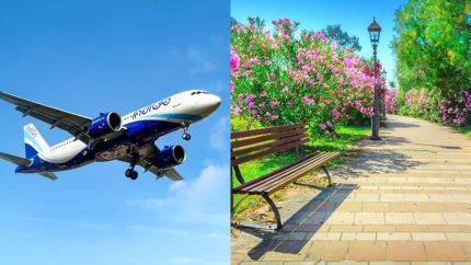 From IndiGo Cancelling 200+ Flights To Temporary Closure Of Muscat Parks, 5 GCC Updates
