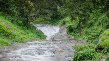 THIS Hidden Gem In Kerala Is Loved for Its Tea Estates, Cool Weather & Adventure Trails
