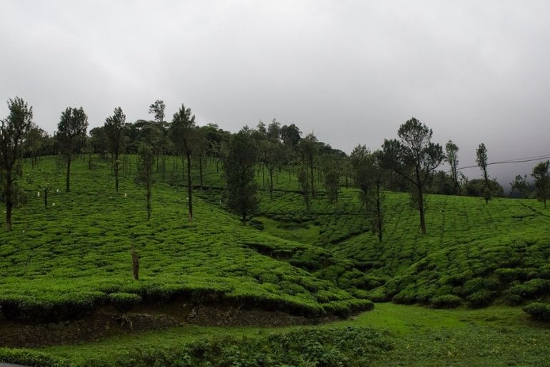 Nelliyampathy Kerala