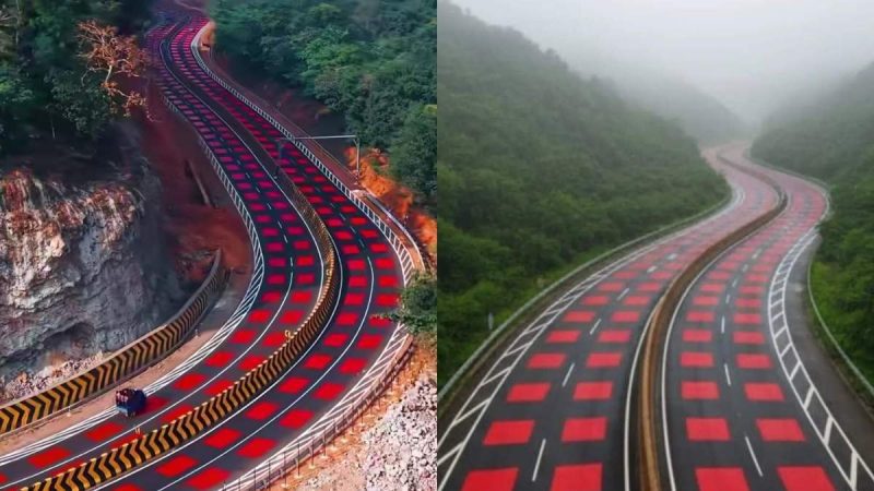 Why Does India’s First Wildlife-Safe Road In Madhya Pradesh Have Red Marking?