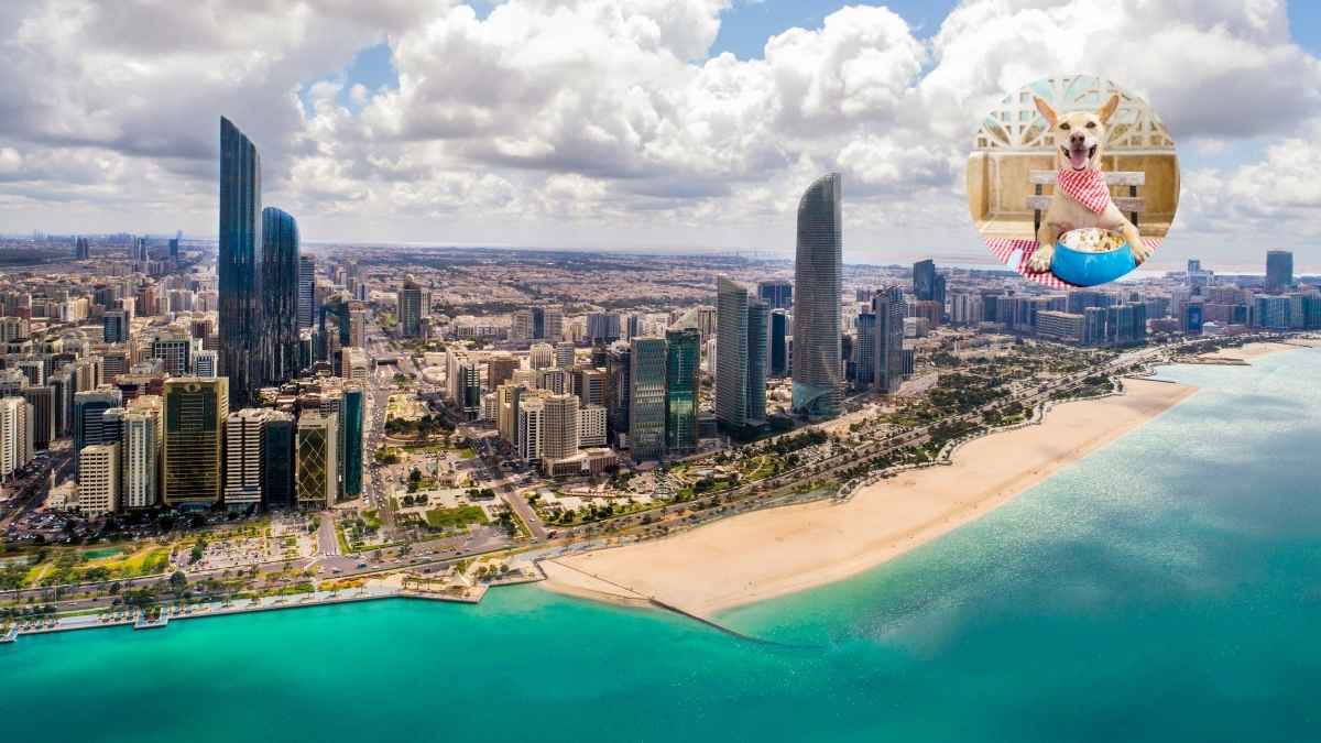 You Can Take Your Furry Friends For A Meal As Abu Dhabi Restaurants Now Welcome Pets