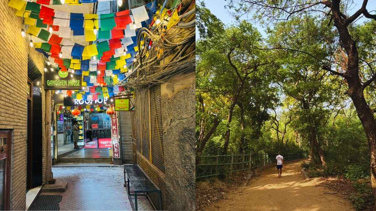 Skip Lodhi Garden And Pick These 5 Underrated Corners In Delhi For A Slow, Silent Morning