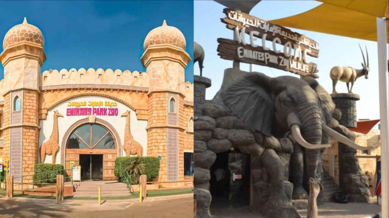 Did You Know There’s A Free Shuttle Connecting Al Wahda Mall To Zoo & Resort In Abu Dhabi?
