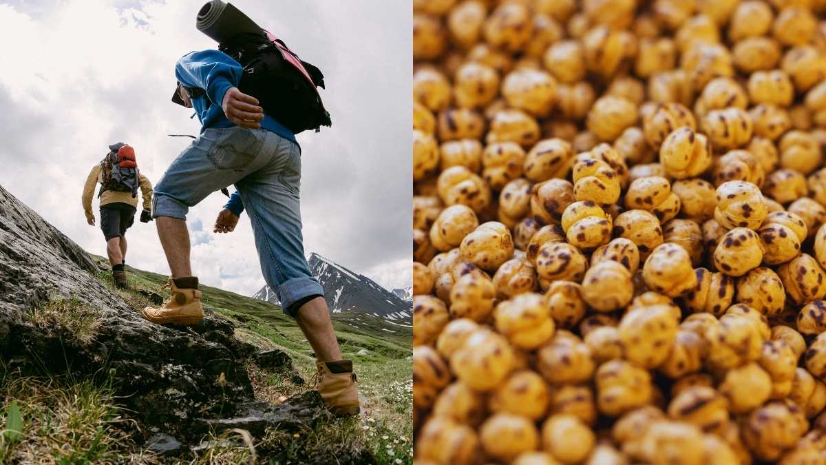 10 High-Protein Indian Winter Snacks Every Traveller And Trekker Should Pack