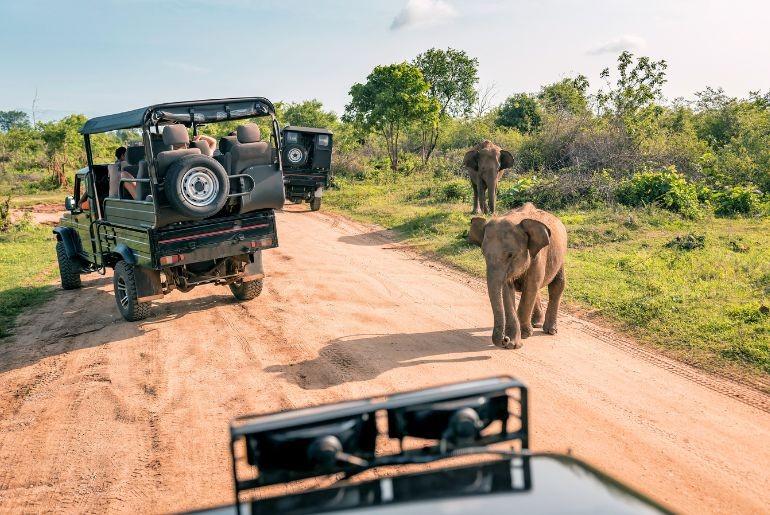 new year resolutions