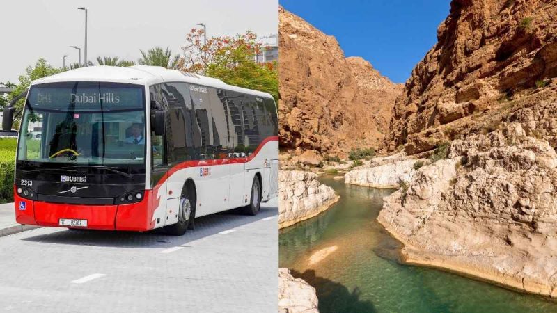 From New Bus Routes In Dubai To Oman’s Flood Alert, 5 GCC Updates For You