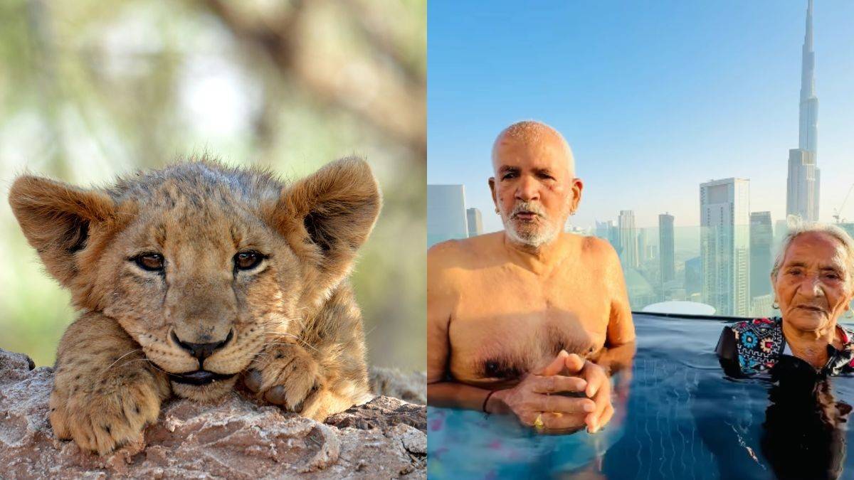 6 Good News From Around The World That Will Make You Smile