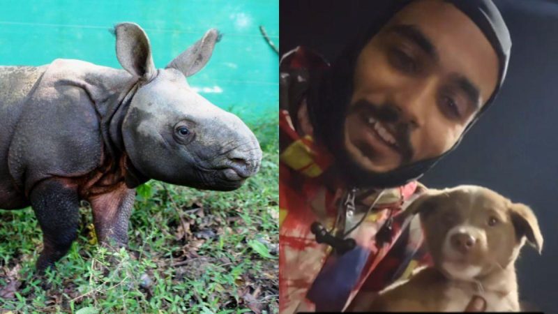 6 Good News From India & Around The World To Uplift Your Mood This Week