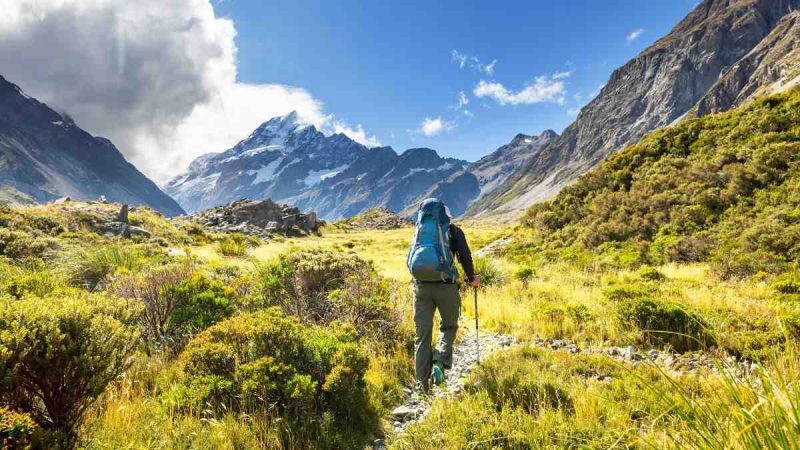Kangra Bans Trekking Above 3000m For Safety Reasons & Unpredictable Weather; Check New Rules